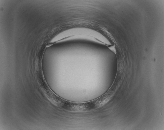 X0000081610213200702121623