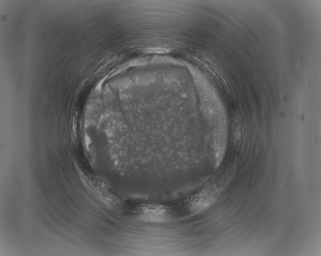 X0000081610214200702121623