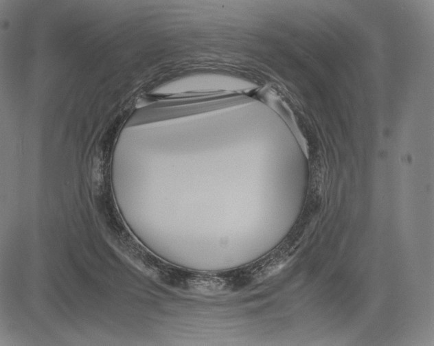 X0000081610215200702121623