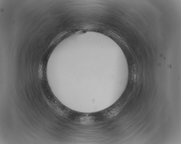 X0000081610216200702121623