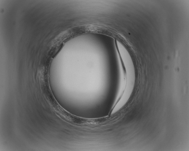 X0000081610217200702121623