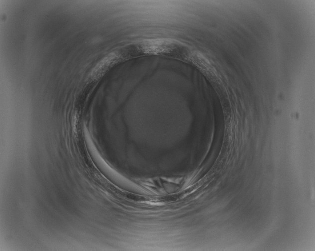 X0000081610219200702121623