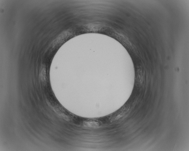 X0000081610220200702121623