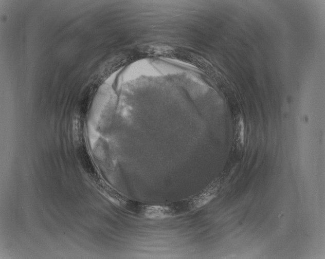 X0000081610222200702121623