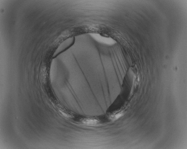 X0000081610223200702121623