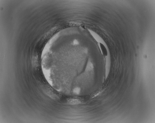 X0000081610224200702121623