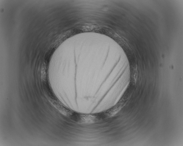 X0000081610226200702121623