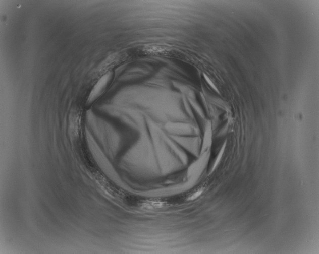 X0000081610227200702121623