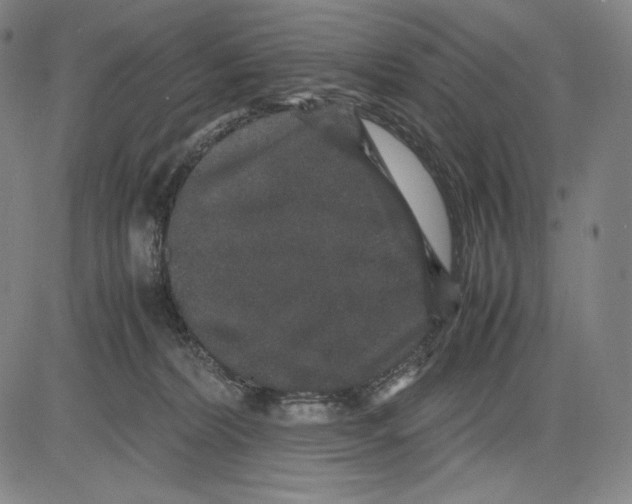 X0000081610228200702121622