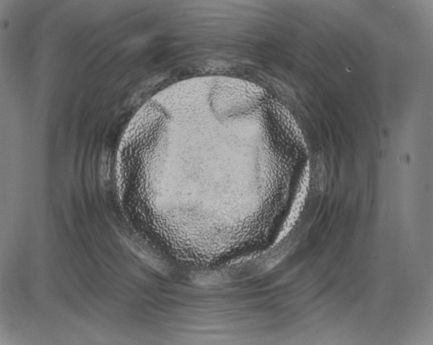 X0000081610230200702121622