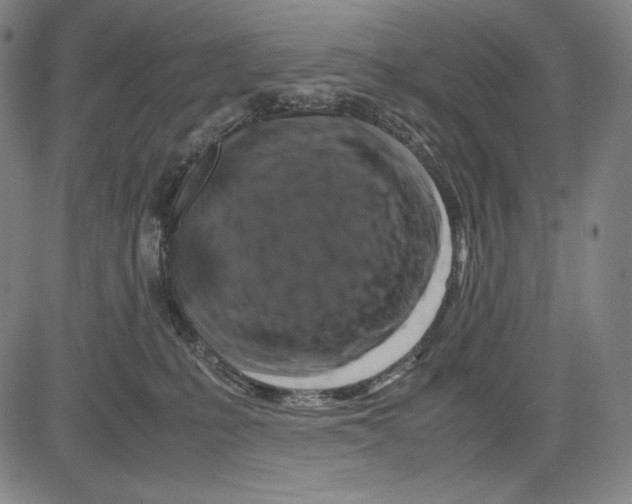 X0000081610231200702121622