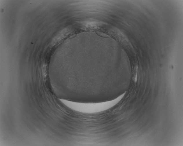 X0000081610232200702121622