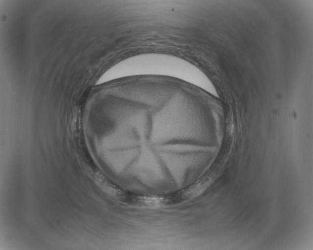 X0000081610233200702121622