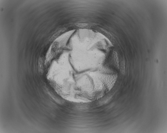 X0000081610234200702121622