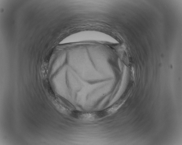 X0000081610237200702121622