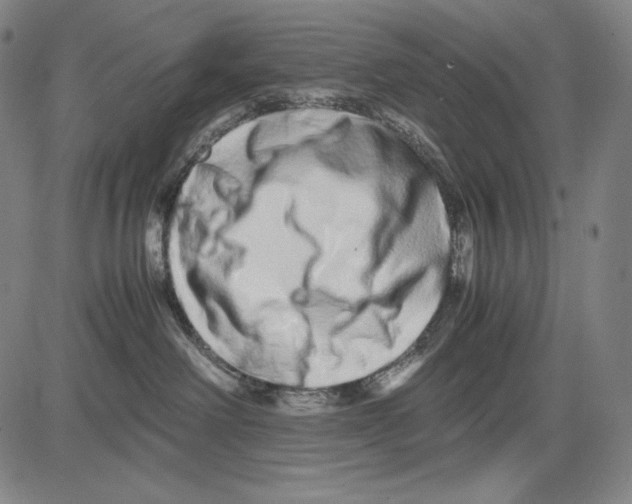 X0000081610238200702121622