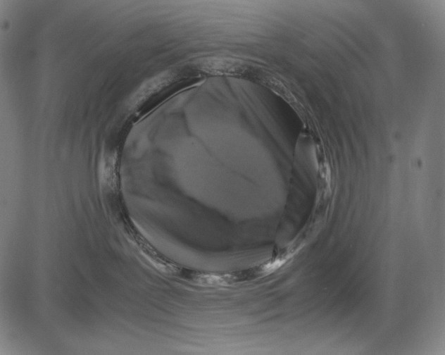 X0000081610239200702121622