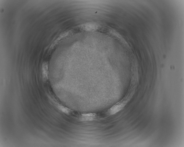 X0000081610240200702121622