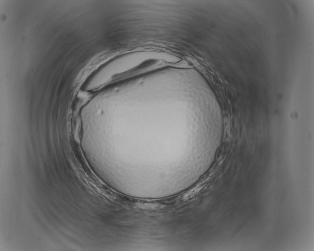 X0000081610242200702121622