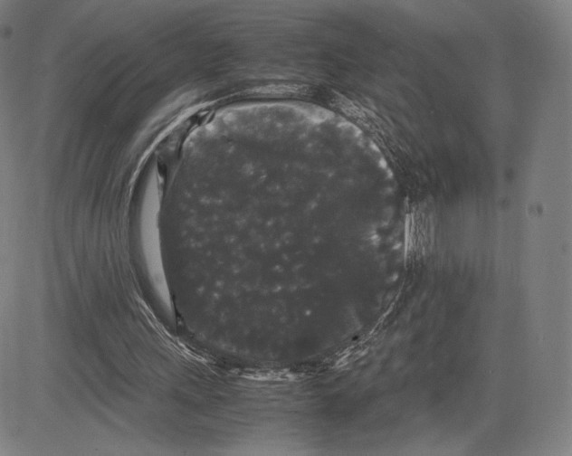 X0000081610243200702121622