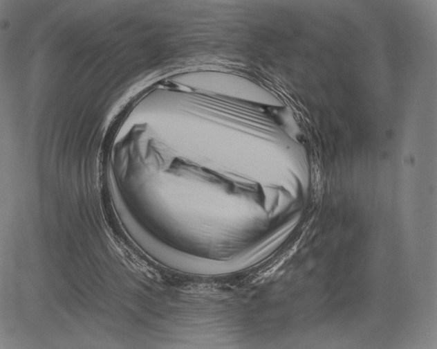 X0000081610244200702121622