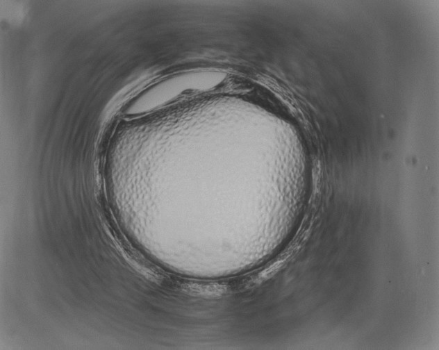 X0000081610245200702121622