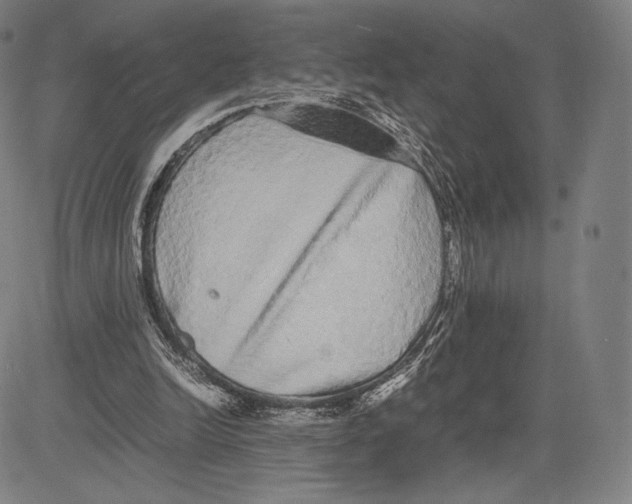 X0000081610246200702121622