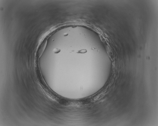 X0000081610248200702121622