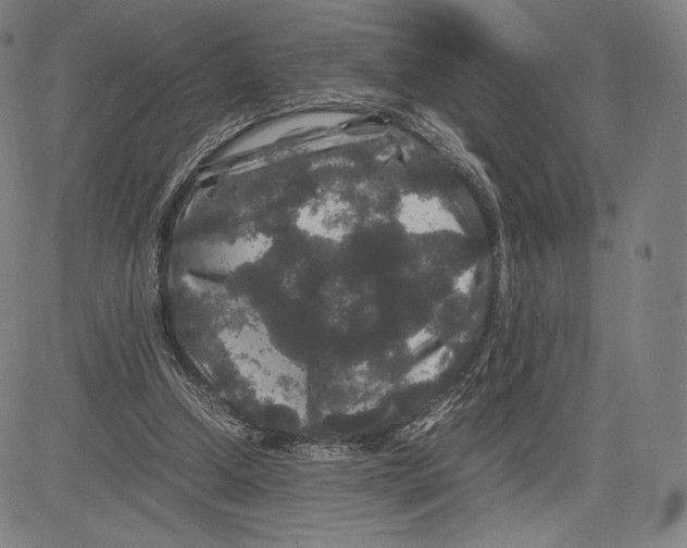 X0000081610250200702121622