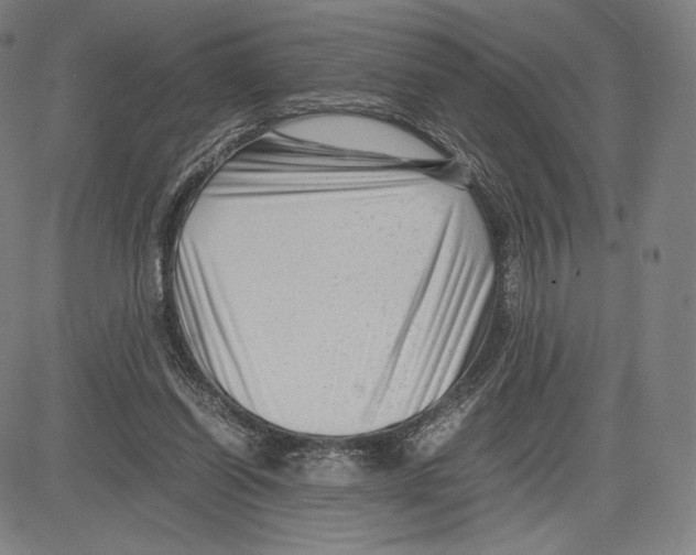 X0000081610254200702121622