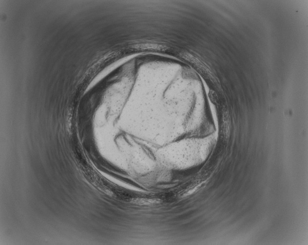 X0000081610255200702121622