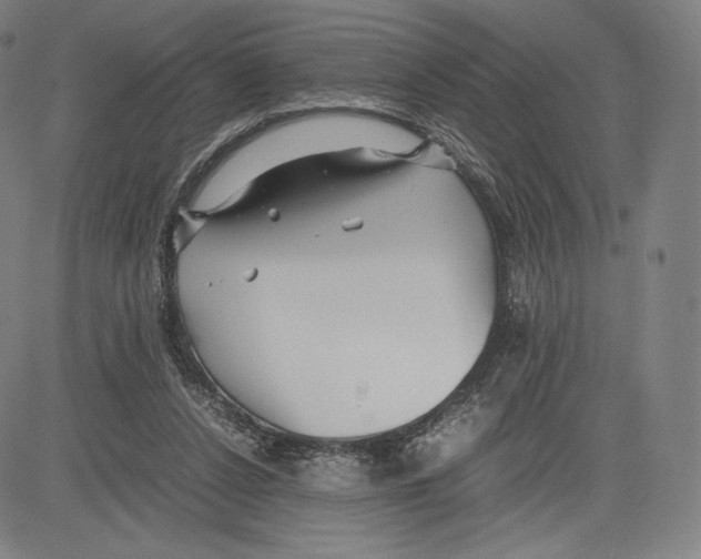 X0000081610256200702121622