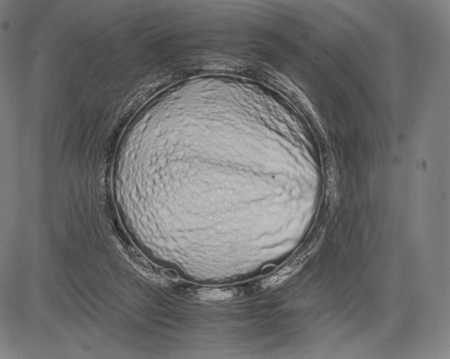 X0000081610257200702121622