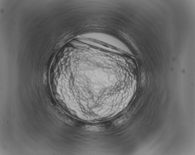 X0000081610259200702121622