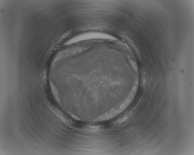 X0000081610260200702121622