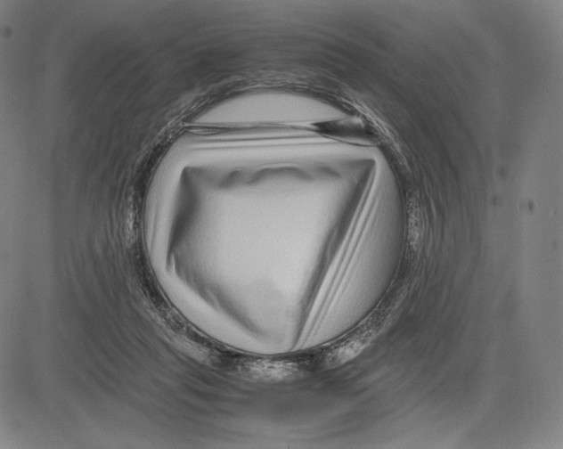 X0000081610261200702121622