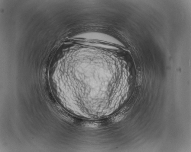 X0000081610263200702121622