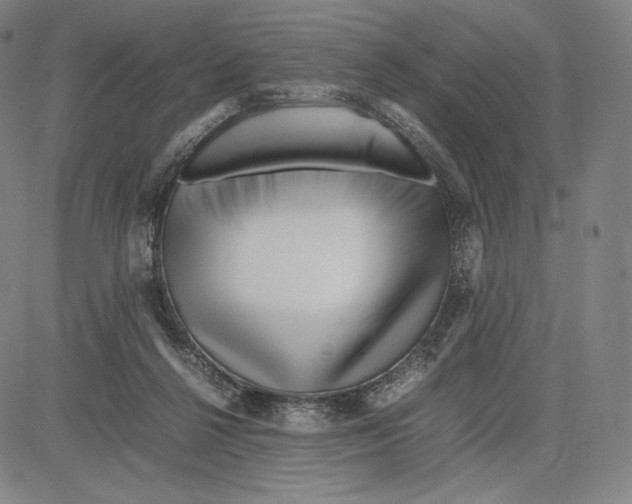 X0000081610264200702121622