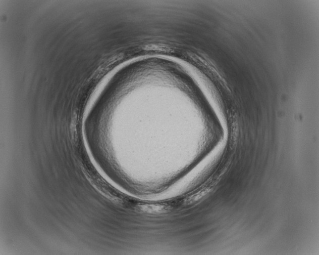 X0000081610265200702121622