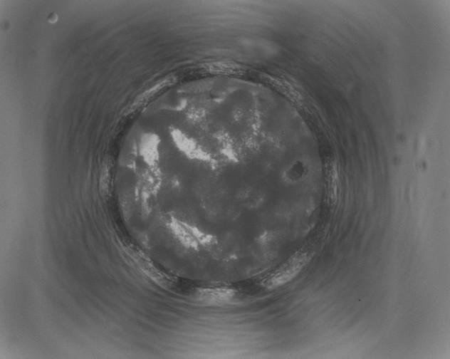 X0000081610266200702121622