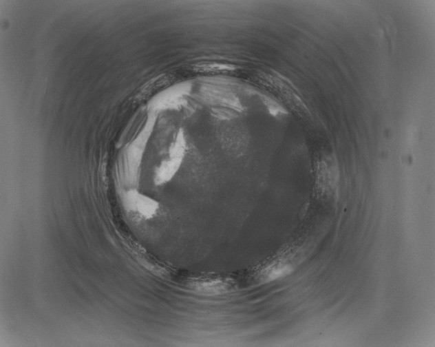 X0000081610267200702121622