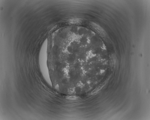 X0000081610269200702121622