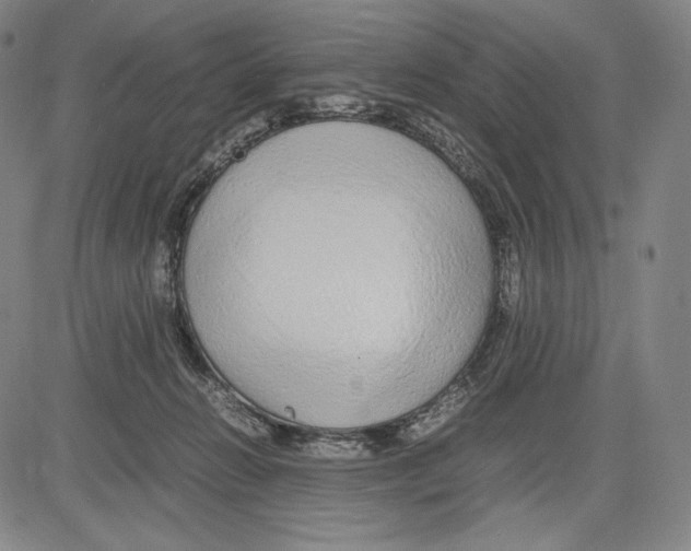 X0000081610270200702121622