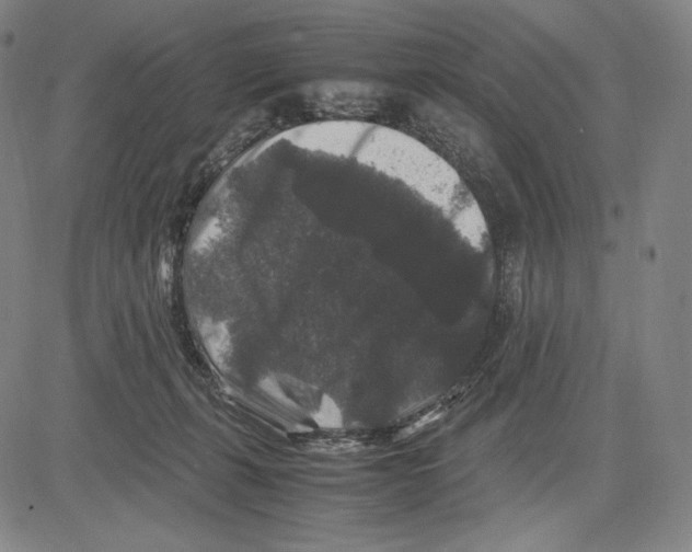 X0000081610271200702121622