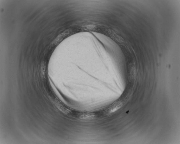 X0000081610274200702121622