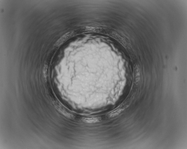 X0000081610275200702121622