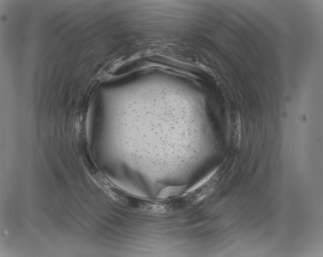 X0000081610276200702121622