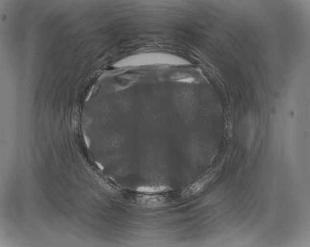 X0000081610277200702121622