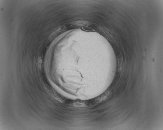 X0000081610279200702121622