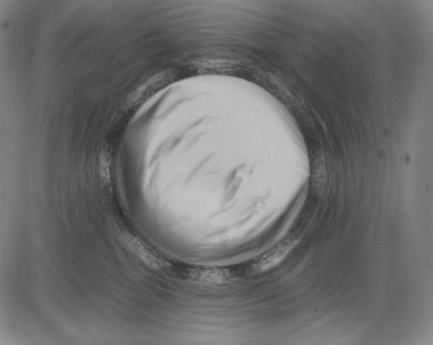 X0000081610282200702121622